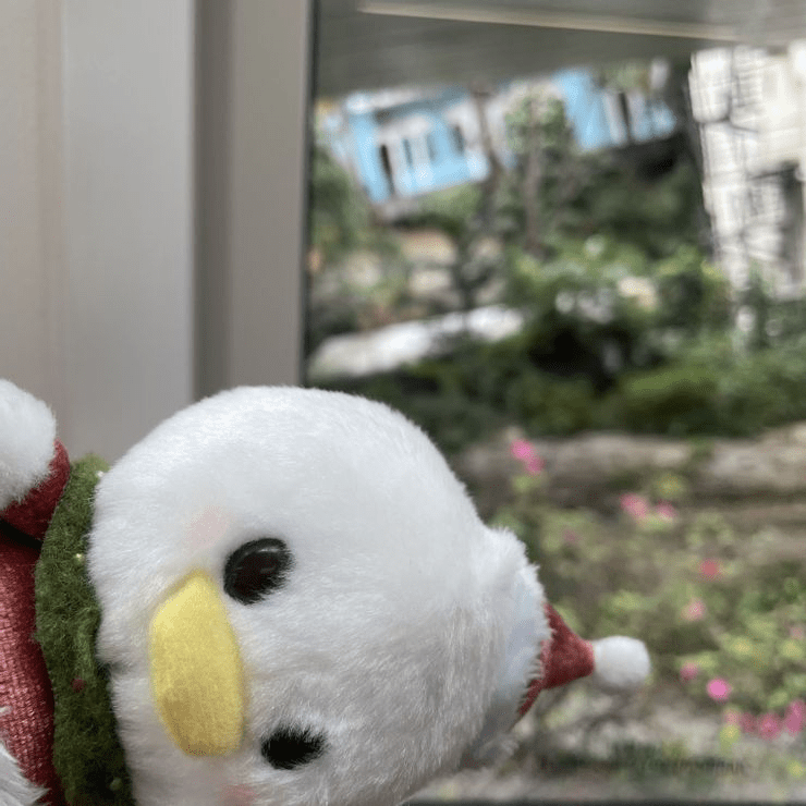 山頂纜車上風景