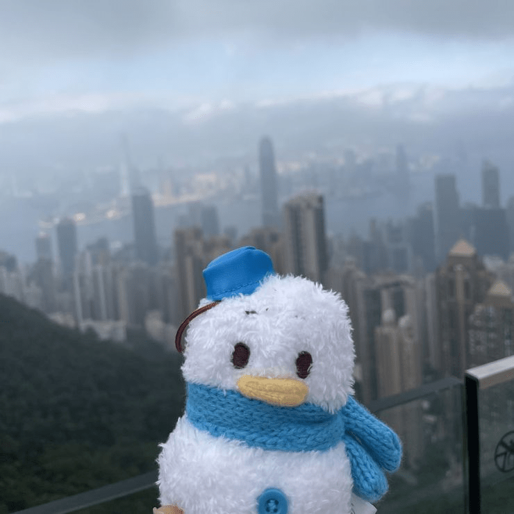 凌霄閣摩天台428