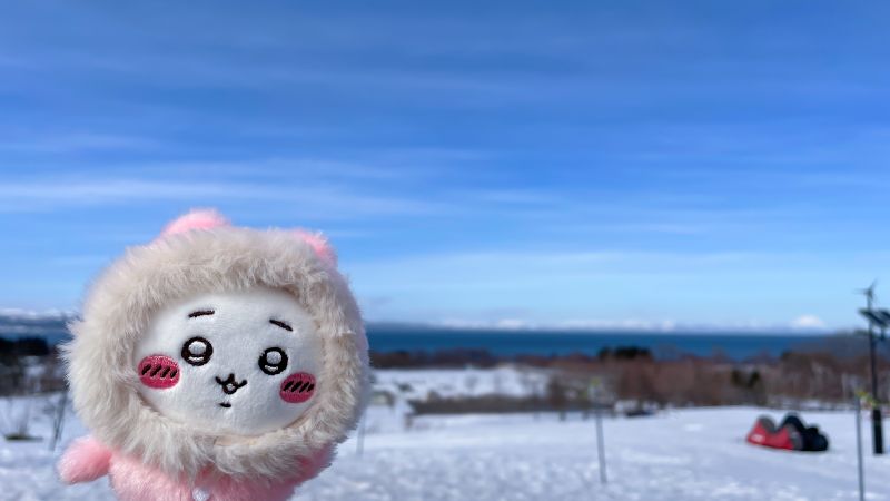 日本打工度假入場券：2025年後期的申請攻略