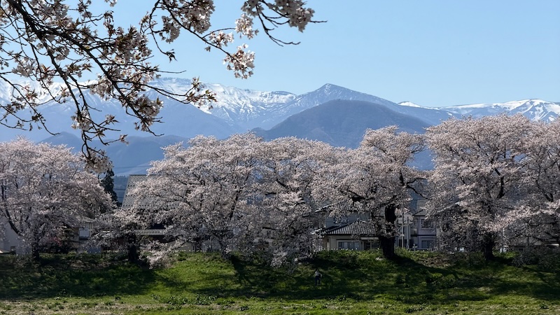 日本打工度假出發前：租屋經驗談及行前清單